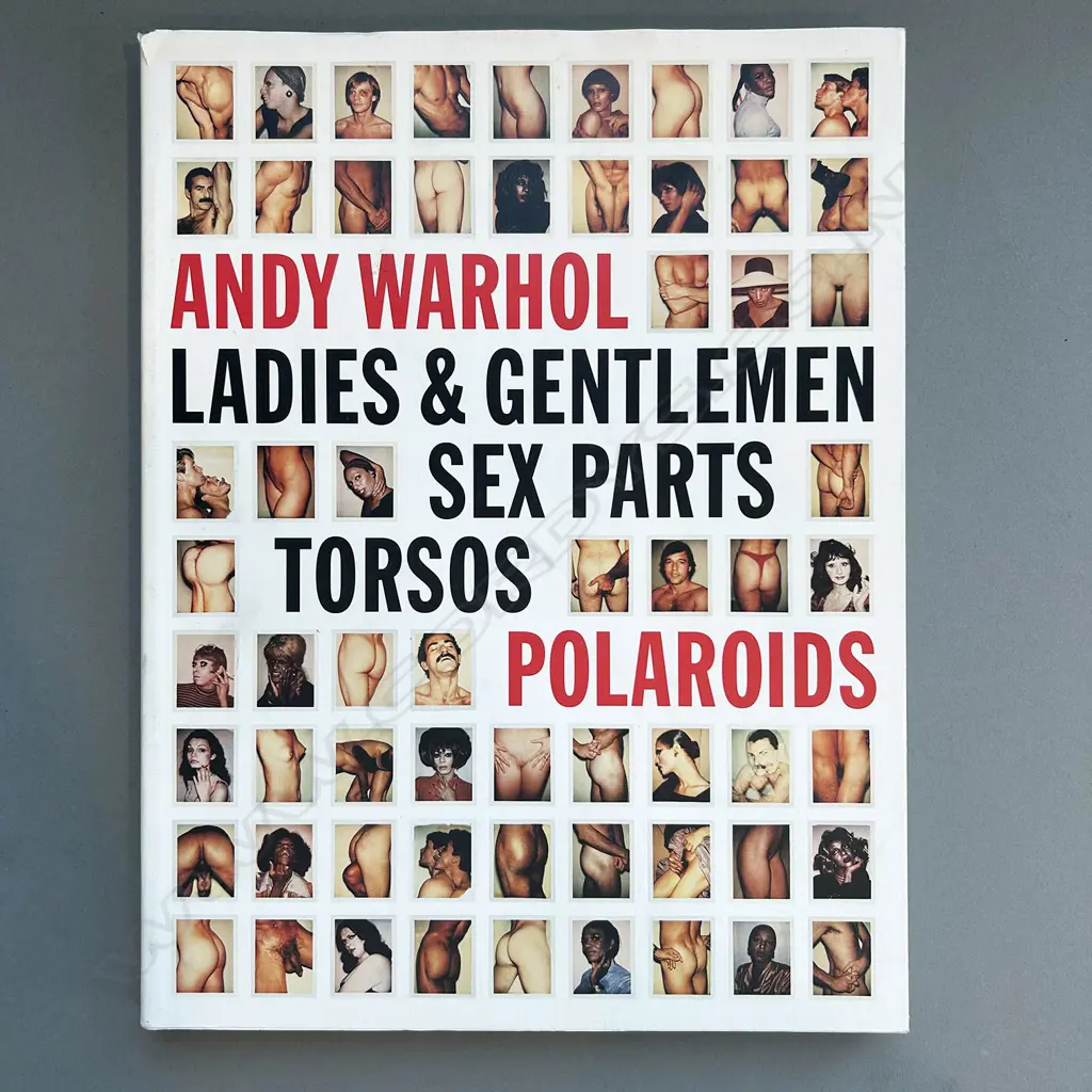 ANDY WARHOL: LADIES & GENTLEMEN SEX PARTS TORSOS POLAROIDS Image 1++